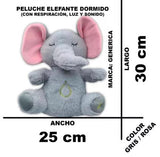 ELEFANTE RELAJANTE QUE RESPIRA