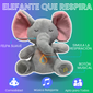 ELEFANTE RELAJANTE QUE RESPIRA