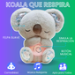 KOALA RELAJANTE QUE RESPIRA