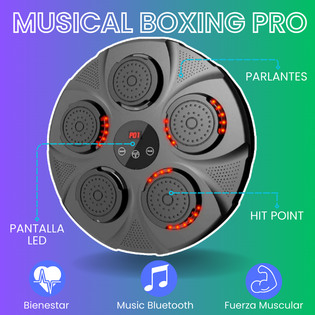 MUSICAL BOXING PRO